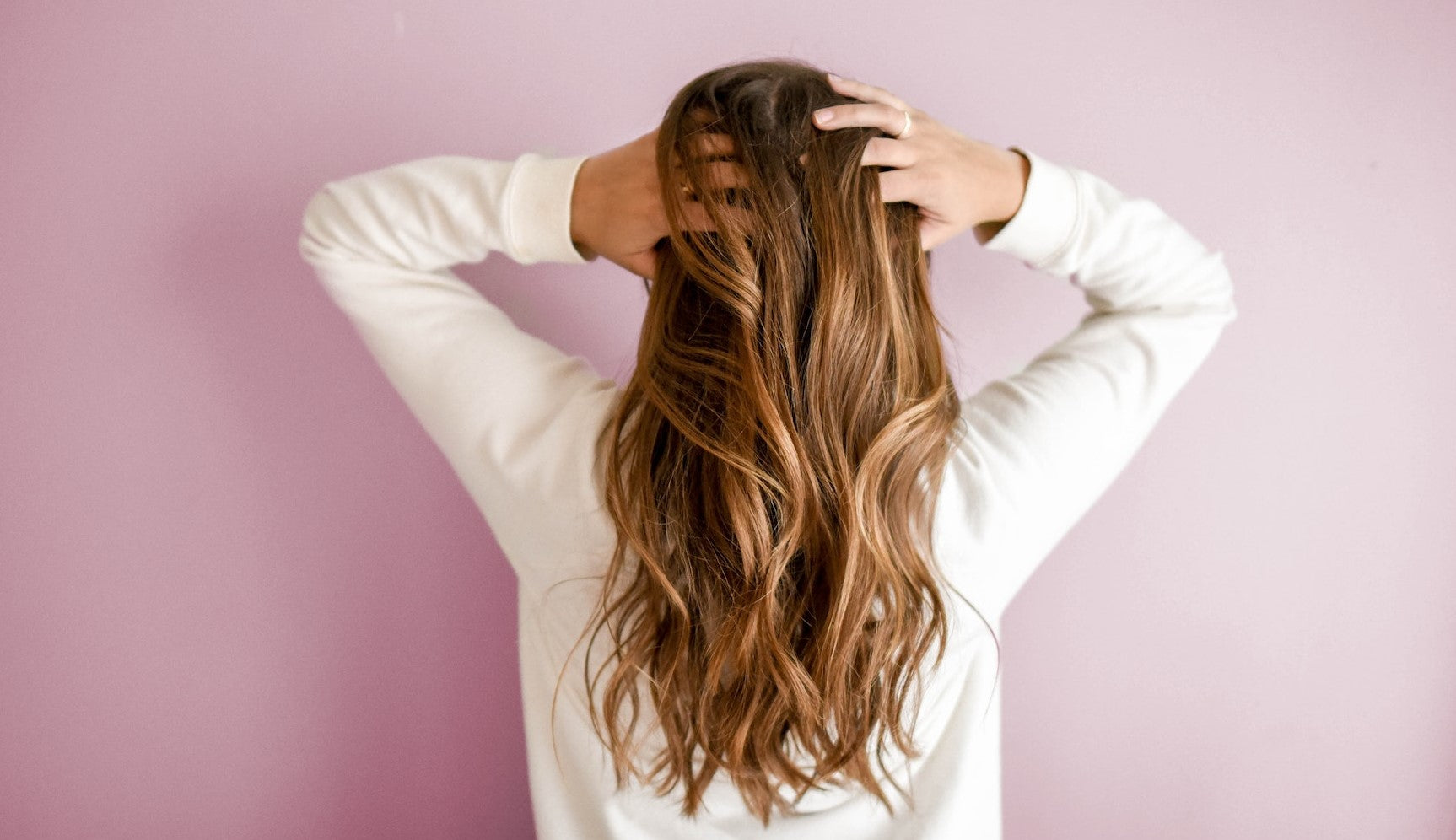 shampoo and conditioner bars